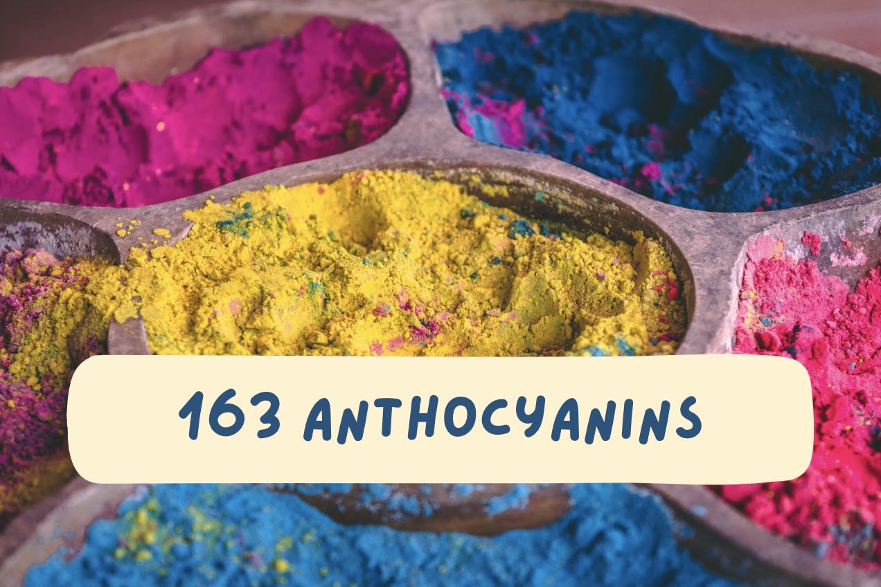 163 Anthocyanins